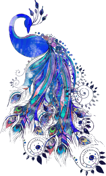 Peacock  Watercolor Sublimation Transfer