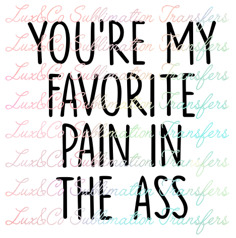 You're My Favorite Pain in the Ass Sublimation Transfer