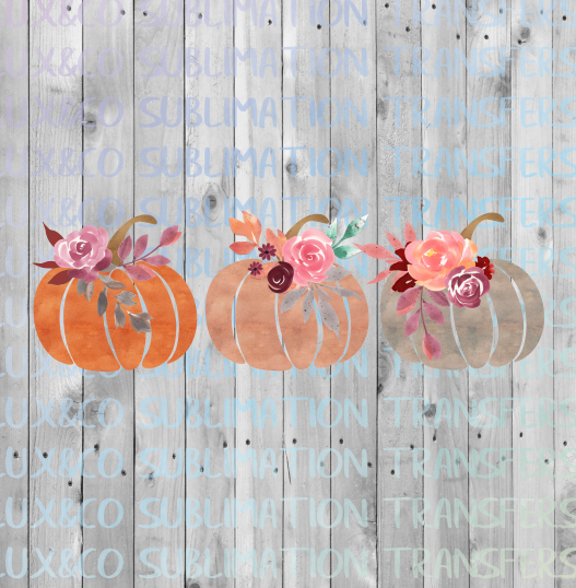 Floral Pumpkin Trio Sublimation Transfer