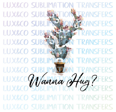 Wanna Hug? Cactus Sublimation Transfer