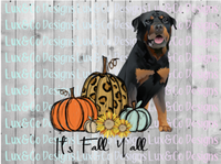 Its Fall Yall Cheetah Sunflower Dog Rottweiler Sublimation Transfer