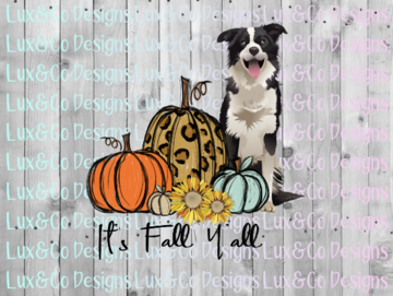 Its Fall Yall Cheetah Sunflower Dog Border Collie Sublimation Transfer