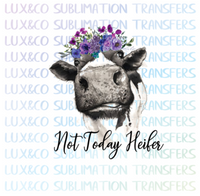 Not Today Heifer Sublimation Digital Design PNG File