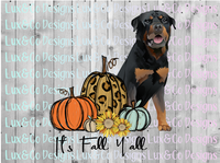 Its Fall Yall Pumpkin Sunflower Cheetah Dog Rottweiler Sublimation PNG Digital Design