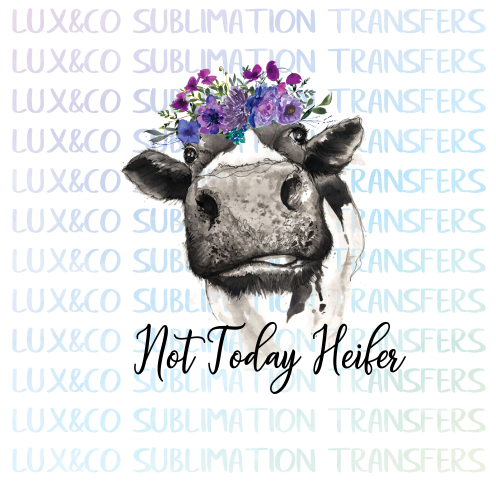 Not Today Heifer Sublimation Transfer Waterslide