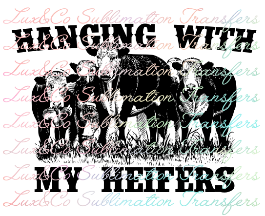 Hanging with my Heifers Sublimation Transfer
