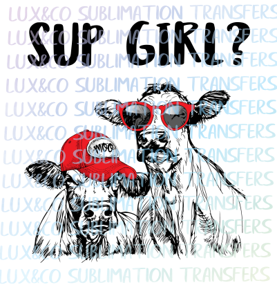 Sup Girl? Cow Farm Animals Sublimation Transfer