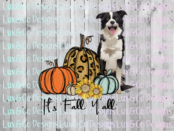 Its Fall Yall Pumpkin Sunflower Cheetah Dog Border Collie Sublimation PNG Digital Design